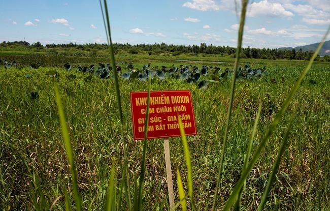 Vietnam, US complete cleanup of toxic chemical from airport | iNFOnews.ca
