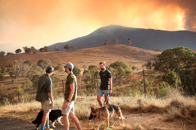 Wildfire threatens homes on Australian capital's outskirts | iNFOnews.ca Wildfire threatens homes on Australian capital's outskirts | iNFOnews.ca