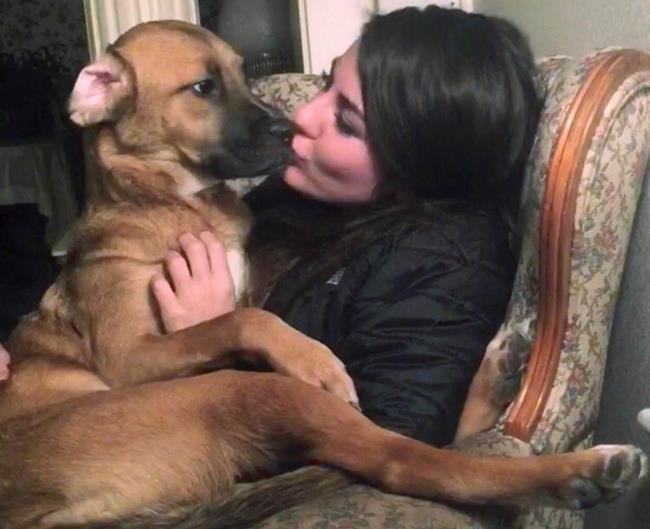 Court confirms man's custody of dog, denies ex-girlfriend | iNFOnews.ca CP1180445829