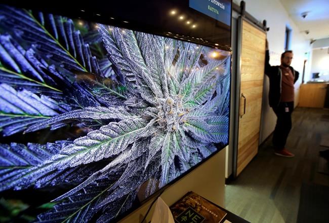 What to expect as 1st pot shops in East finally open | iNFOnews.ca
