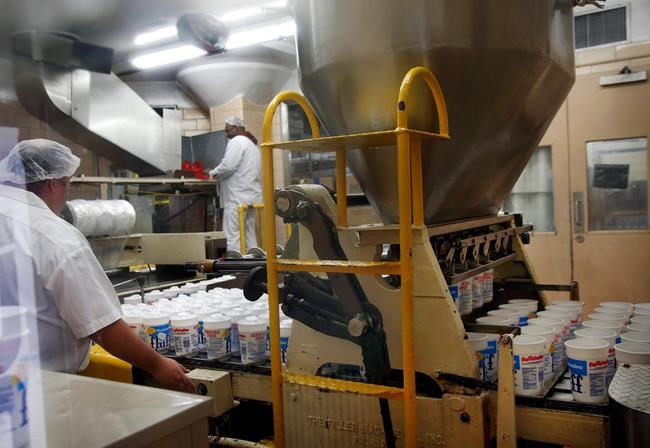 What the Fluff? An American lunchbox icon is turning 100 | iNFOnews.ca