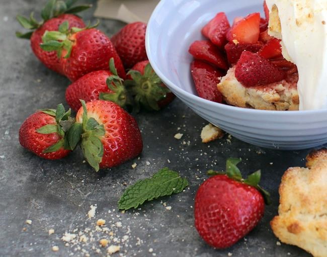 Researchers looking to develop longer strawberry season | iNFOnews.ca