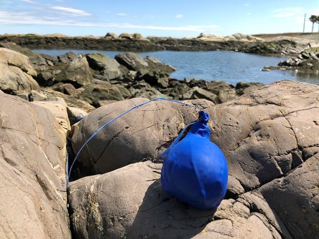 More states aim to knock air out of festive balloon launches | iNFOnews.ca More states aim to knock air out of festive balloon launches | iNFOnews.ca