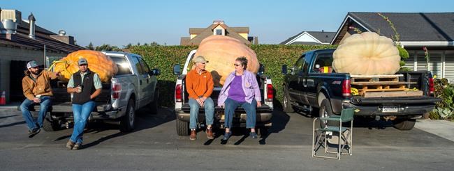 Heaviest is best: Pumpkin sets record at California contest | iNFOnews.ca