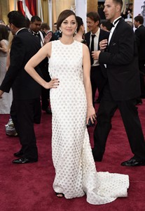 No train wrecks on the Oscars red carpet as awards season winds down | iNFOnews.ca
