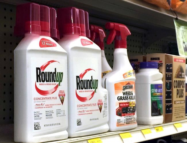 Ingredient in popular weed killer going on list as cancerous | iNFOnews.ca Ingredient in popular weed killer going on list as cancerous | iNFOnews.ca