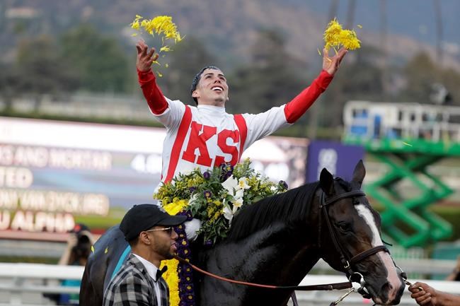 15-1 long shot fatally injured in Breeders' Cup Classic | iNFOnews.ca