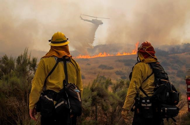 The Latest: Wildfire threatens rural homes outside San Diego | iNFOnews.ca