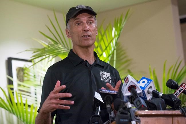 Cincinnati Zoo rejoins Twitter following Harambe controversy | iNFOnews.ca Cincinnati Zoo rejoins Twitter following Harambe controversy | iNFOnews.ca