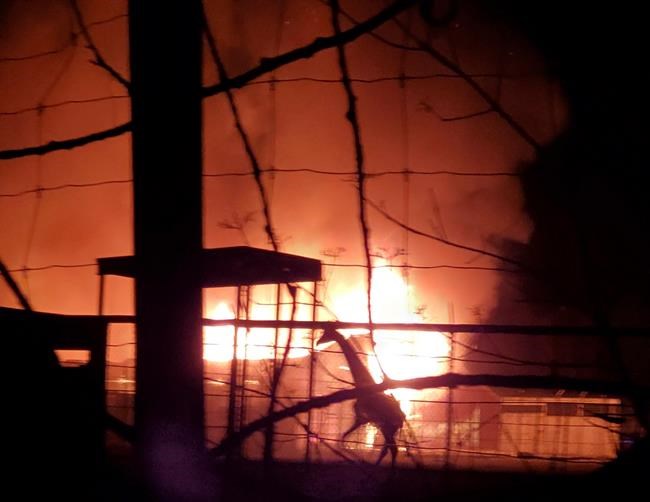 10 animals killed in barn fire at Ohio wildlife park | iNFOnews.ca CP1179980081