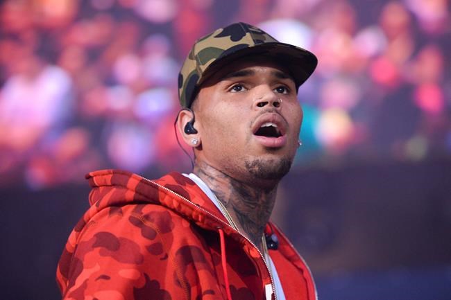 Chris Brown must give up monkeys under judge's restrictions | iNFOnews.ca Chris Brown must give up monkeys under judge's restrictions | iNFOnews.ca