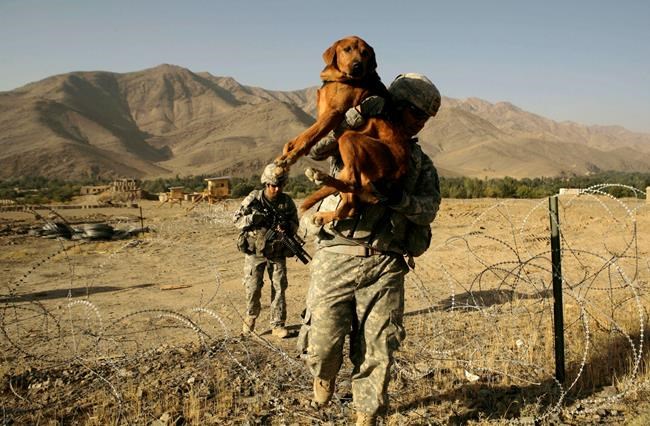 US, Russia share a complex and bloody history in Afghanistan | iNFOnews.ca US, Russia share a complex and bloody history in Afghanistan | iNFOnews.ca