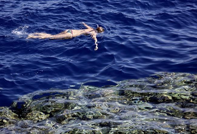 Egyptian official says province to ban single use plastics | iNFOnews.ca