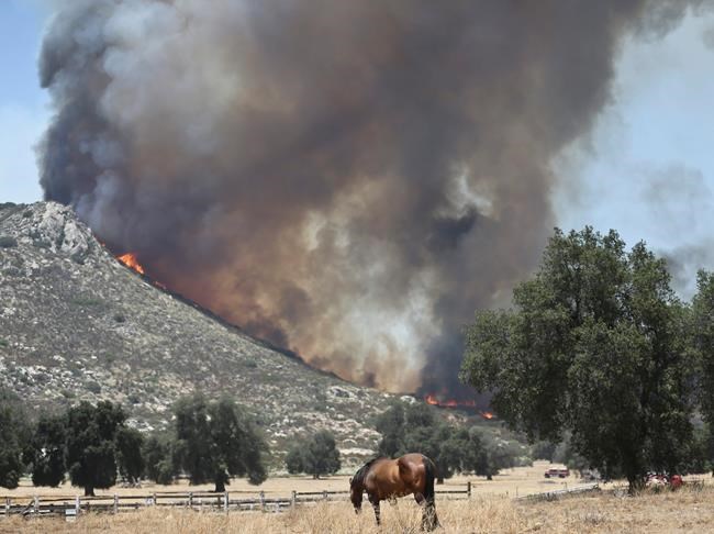 The Latest: Fire damage assessments to begin in New Mexico | iNFOnews.ca