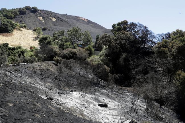 Evacuees return home as wildfires across West calm down | iNFOnews.ca