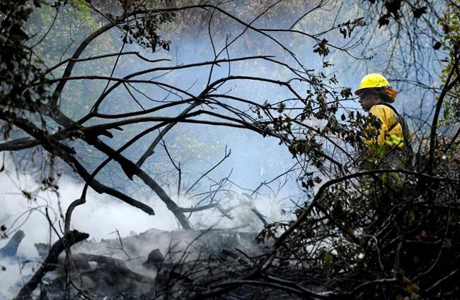 The Latest: Fires threaten national park's icons | iNFOnews.ca CP1126808923