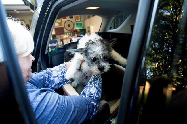 The Latest: Hospital, jail evacuate over California fire | iNFOnews.ca