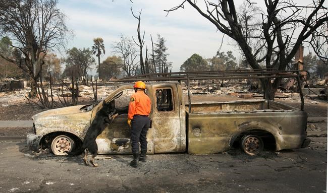 The Latest: Napa Valley school remain closed until Monday | iNFOnews.ca