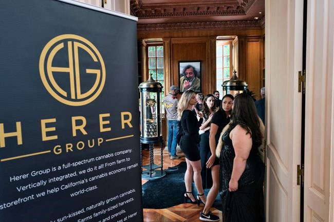 California to illegal pot shops: We're coming for you | iNFOnews.ca