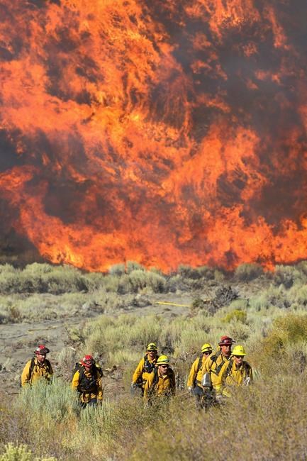 More Californians refusing to evacuate despite fire danger | iNFOnews.ca