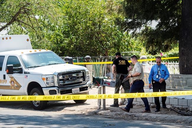 California girl, 2, accidentally shot and killed by boy, 4 | iNFOnews.ca