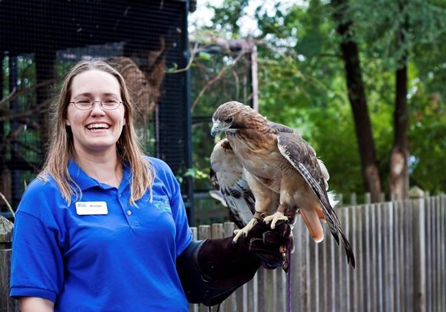 Zoo investigates animal handling after tiger attacks worker | iNFOnews.ca