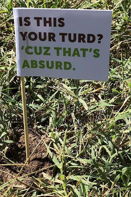 'Is this your turd?': Missouri city's cleanup flags dog poop | iNFOnews.ca 'Is this your turd?': Missouri city's cleanup flags dog poop | iNFOnews.ca