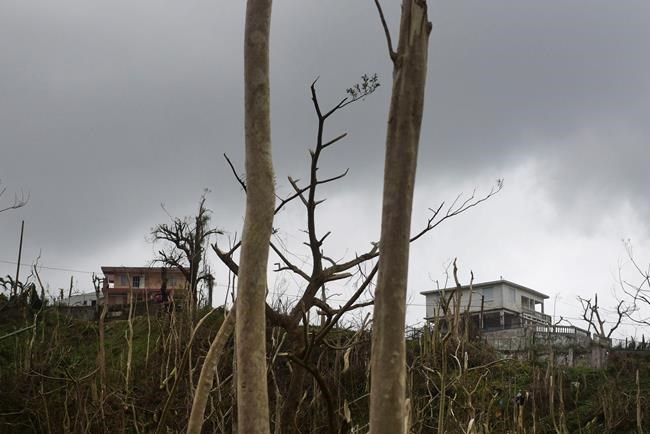Powerless: Puerto Rico faces weeks without electricity | iNFOnews.ca