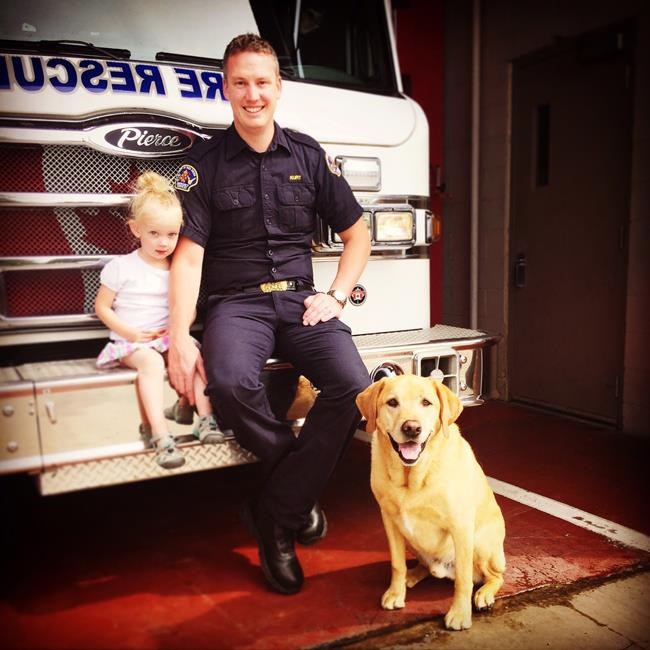 Firefighter chased school bus that hit tree in Red Deer, Alta; driver charged | iNFOnews.ca