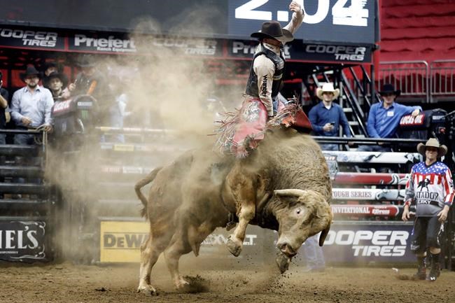 Bull rider dies after being stomped in Denver competition | iNFOnews.ca