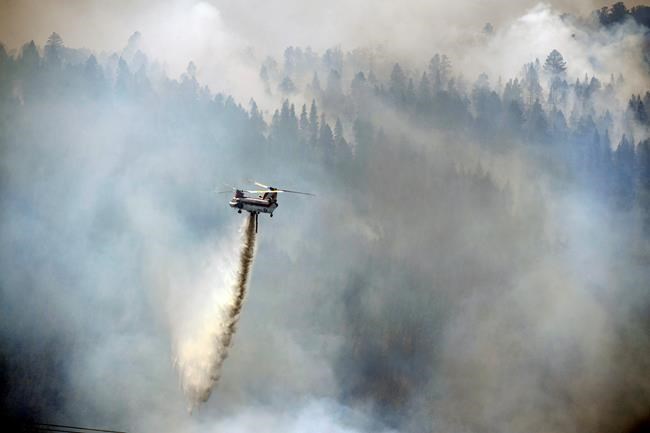 Illegal fires ignite massive Colorado blazes, spur arrests | iNFOnews.ca