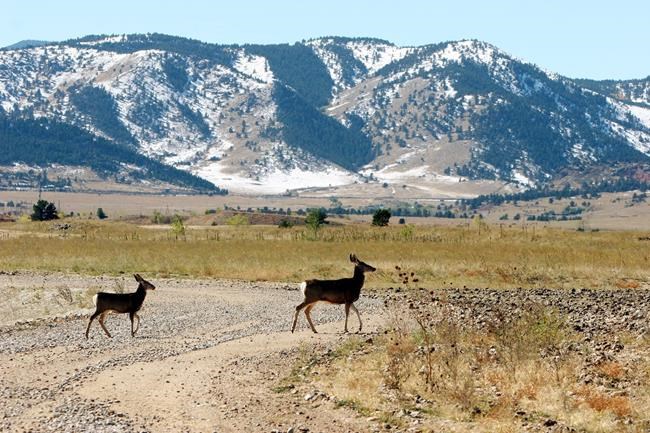 Deal reached between homeowners, weapons plant operators | iNFOnews.ca