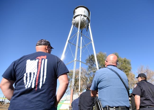 A hairy situation: Rescuers save cat stuck on water tower | iNFOnews.ca