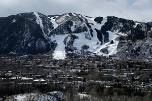CP31445893