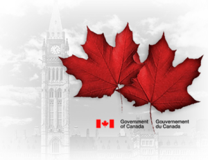CP19614691