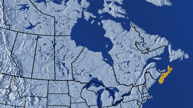 CP19729262