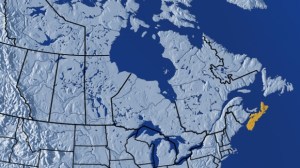 CP19729262