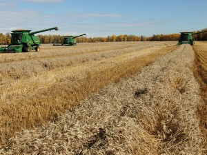 Rain not falling, but records could, as drought persists across northeast B.C. | iNFOnews.ca CP20270219
