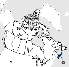 CP20300054