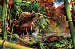 CP29062751