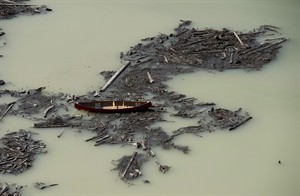 First Nations health officials to start salmon testing after B.C. mine spill | iNFOnews.ca CP29461950