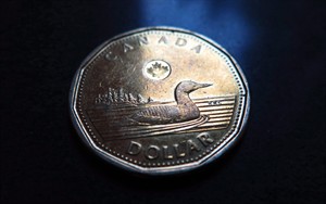 Loonie drops to April 2009 levels; oil depressed by forecast for lower prices | iNFOnews.ca CP31445420