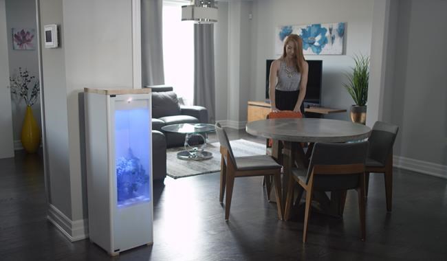 Waterloo, Ont., startup aims to take medical marijuana growing high-tech | iNFOnews.ca