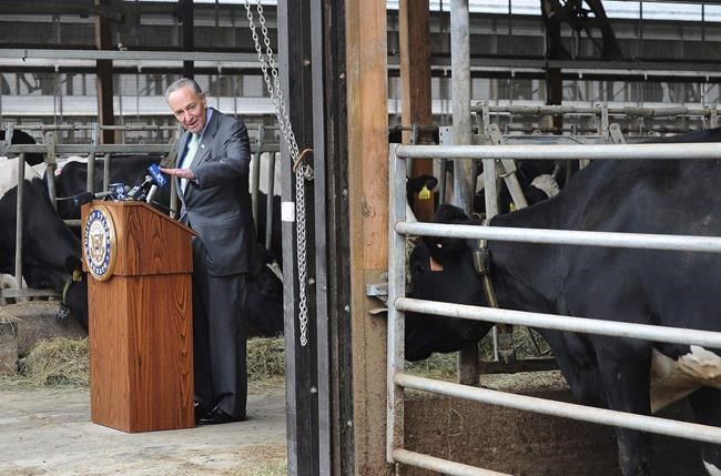 U.S. Senator urges Canada to reverse dairy pricing policy | iNFOnews.ca