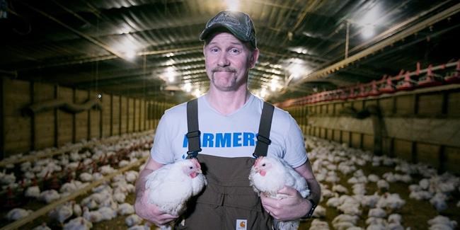 'Super Size Me 2' doc looks at fast food chicken, 'healthy' marketing | iNFOnews.ca
