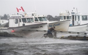 Arthur knocks down trees and power lines in Maritimes, drenches New Brunswick | iNFOnews.ca CP29025167