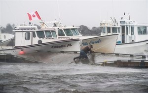 CP29025167