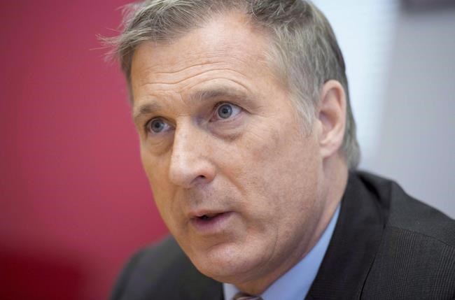 Voters in Bernier's hometown say they like the man more than the party | iNFOnews.ca Voters in Bernier's hometown say they like the man more than the party | iNFOnews.ca