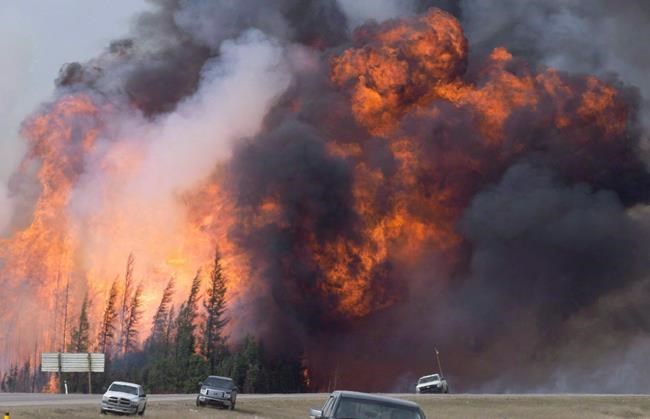 Warm summer means increased risk of forest fires, meteorologists say | iNFOnews.ca