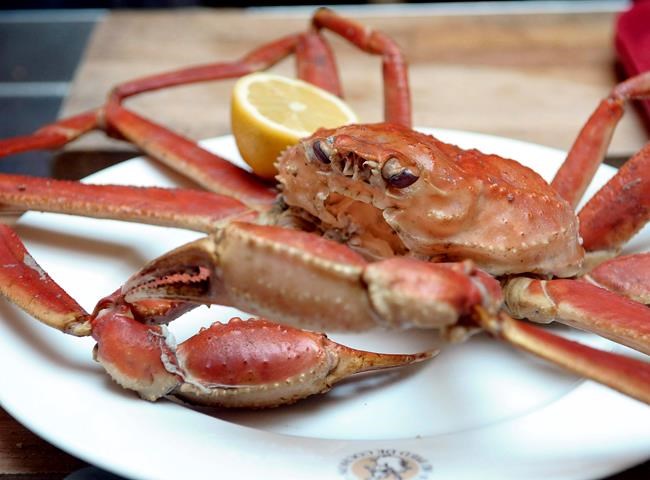 Supreme Court denies P.E.I. crab fishers leave to appeal dispute over catch | iNFOnews.ca Supreme Court denies P.E.I. crab fishers leave to appeal dispute over catch | iNFOnews.ca